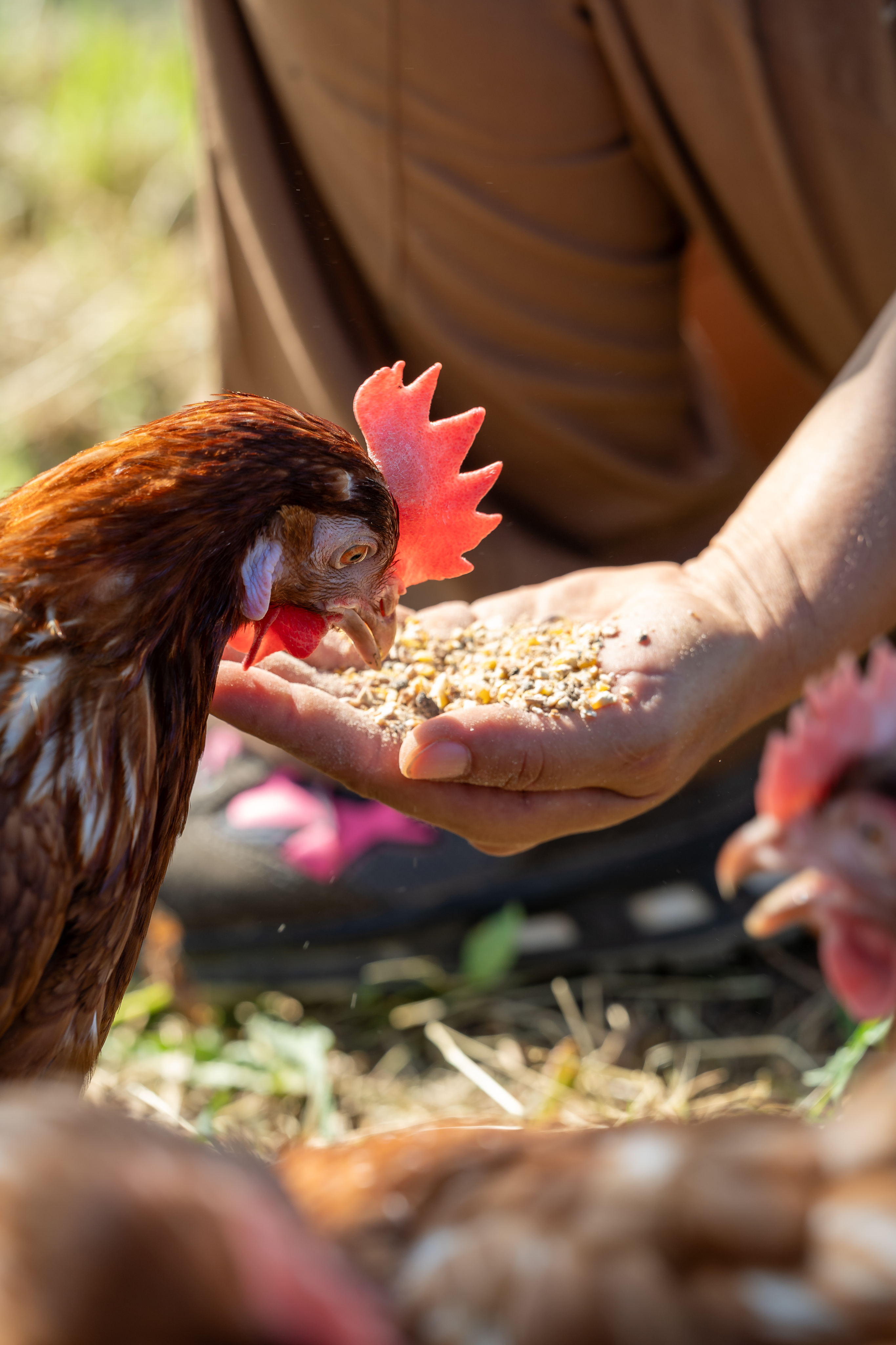 1aefe35daefd47f87b13aa4a3f8bba982c6c95d5