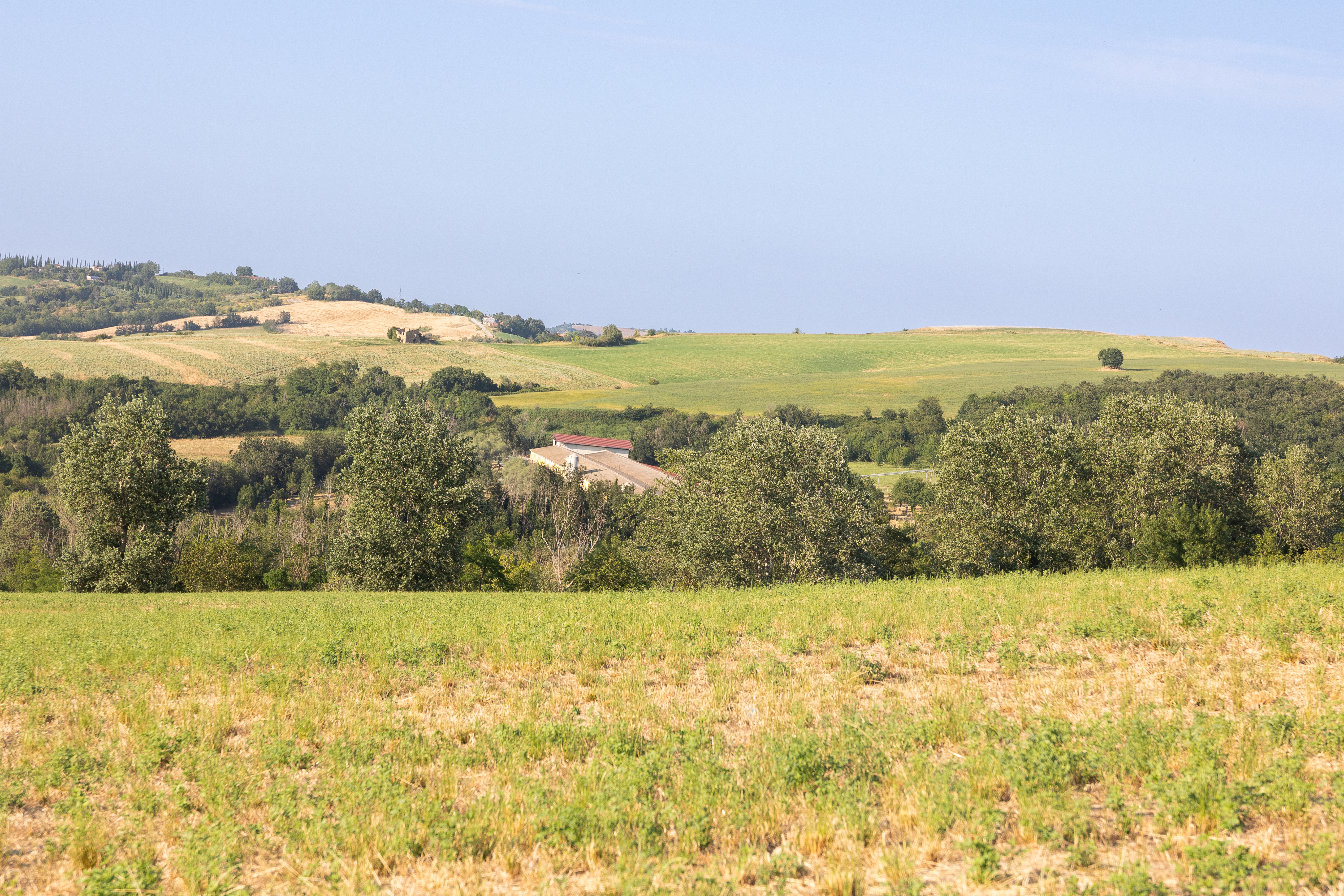 7e97b3b522601aebb6c8070195668536ff6190b3