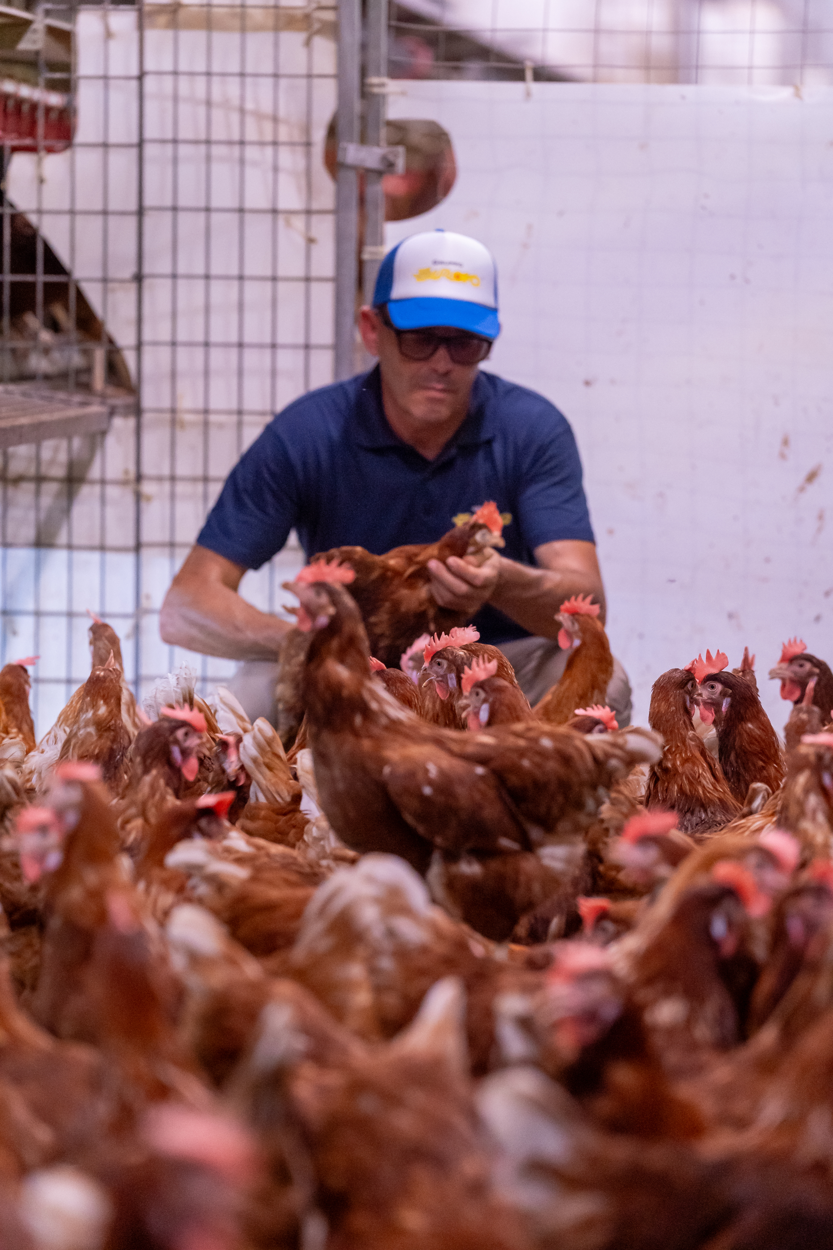 921565e033c6f411e6830b7b60a70e732bd1722a