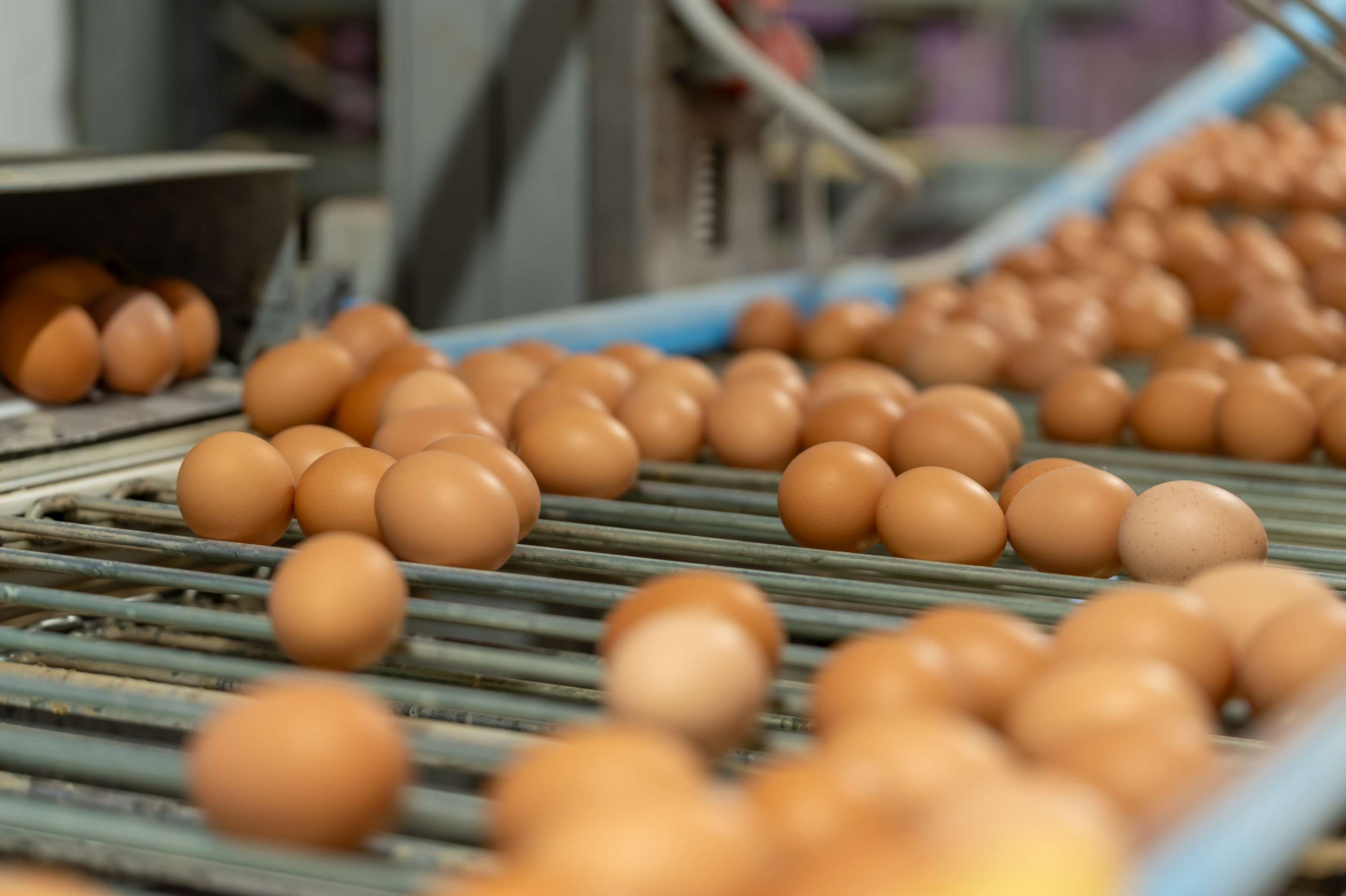 Selection and packaging