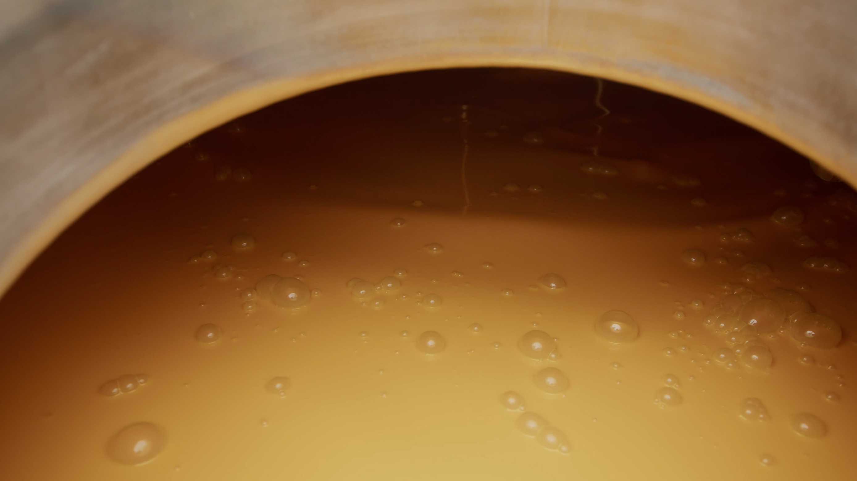 Shelling and pasteurization