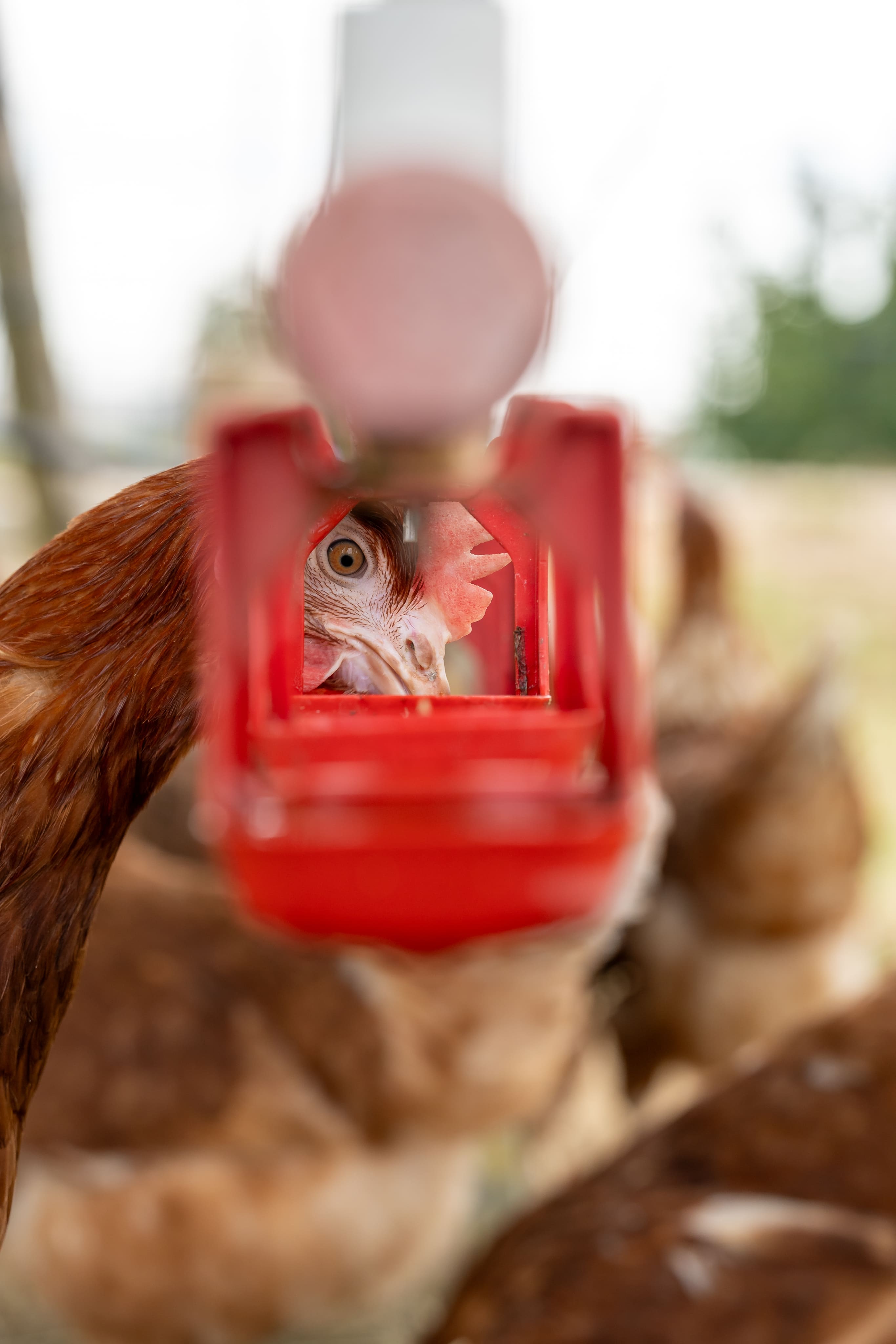 c43fef5c38dbc52897926d7122a61e54d0bb07ef (1)