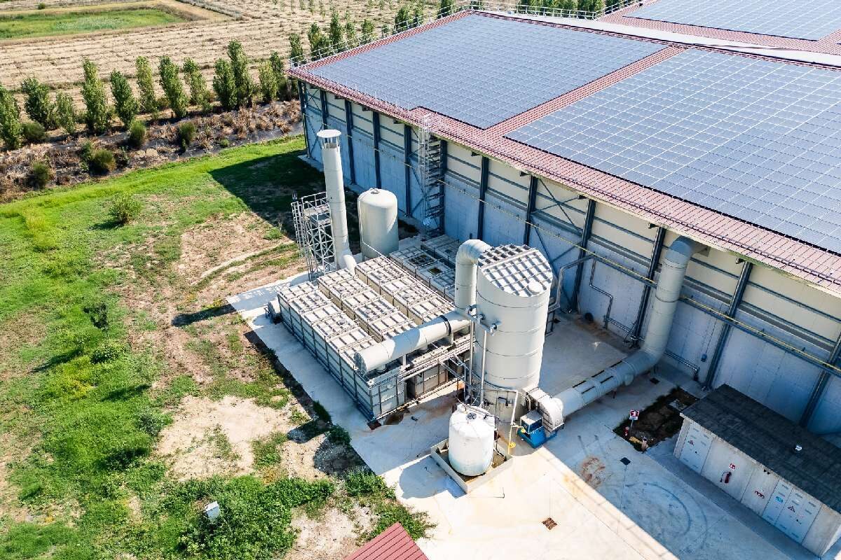 eurovo-nutripollina_16-e1725868453555